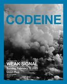 Codeine / Weak Signal on Feb 12, 2023 [463-small]