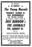 The Rascals / Tommy James & The Shondells / Eric Burdon & the Animals / The Yellow Payges on Aug 16, 1968 [056-small]