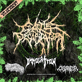 Cattle Decapitation / Immolation / Sanguisugabogg / Castrator on Nov 27, 2023 [567-small]