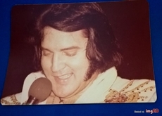 Elvis Presley on Jun 28, 1976 [690-small]