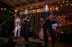 The Cactus Blossoms on Aug 11, 2023 [136-small]