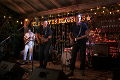 The Cactus Blossoms on Aug 11, 2023 [142-small]