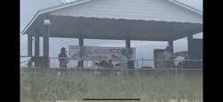tags: Jim Quick & Coastline, Carolina Beach, North Carolina, United States, Carolina Beach Boardwalk - Jim Quick & Coastline / Band Of Oz / North Tower Band on Jun 4, 2022 [894-small]