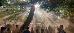 Moseley Folk & Arts Festival 2023 on Sep 1, 2023 [602-small]