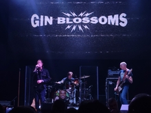 Gin Blossoms / Tonic / Fastball on Sep 13, 2023 [278-small]