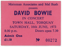 David Bowie / Mick Ronson on Jun 16, 1973 [803-small]