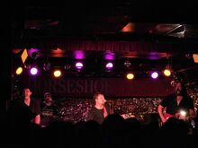illScarlett / Zebra and the Bandit / Nothing Special on Sep 23, 2023 [074-small]