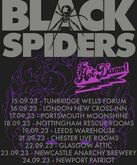 Black Spiders / The Hot Damn! on Sep 23, 2023 [198-small]