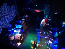 Goldfinger / Beebs and Her Money Makers / Beautiful Bodies / Reel Big Fish on Nov 3, 2013 [654-small]