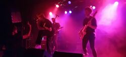 Southern Trendkill / plunder / Dikke Dennis & de Rockers / eilie billish / Daniel Brooke on Sep 30, 2023 [937-small]
