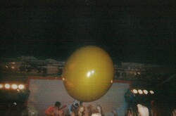 Eels / The Flaming Lips on Aug 6, 2003 [890-small]