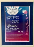 Grateful Dead / Santana on Jun 28, 1991 [411-small]