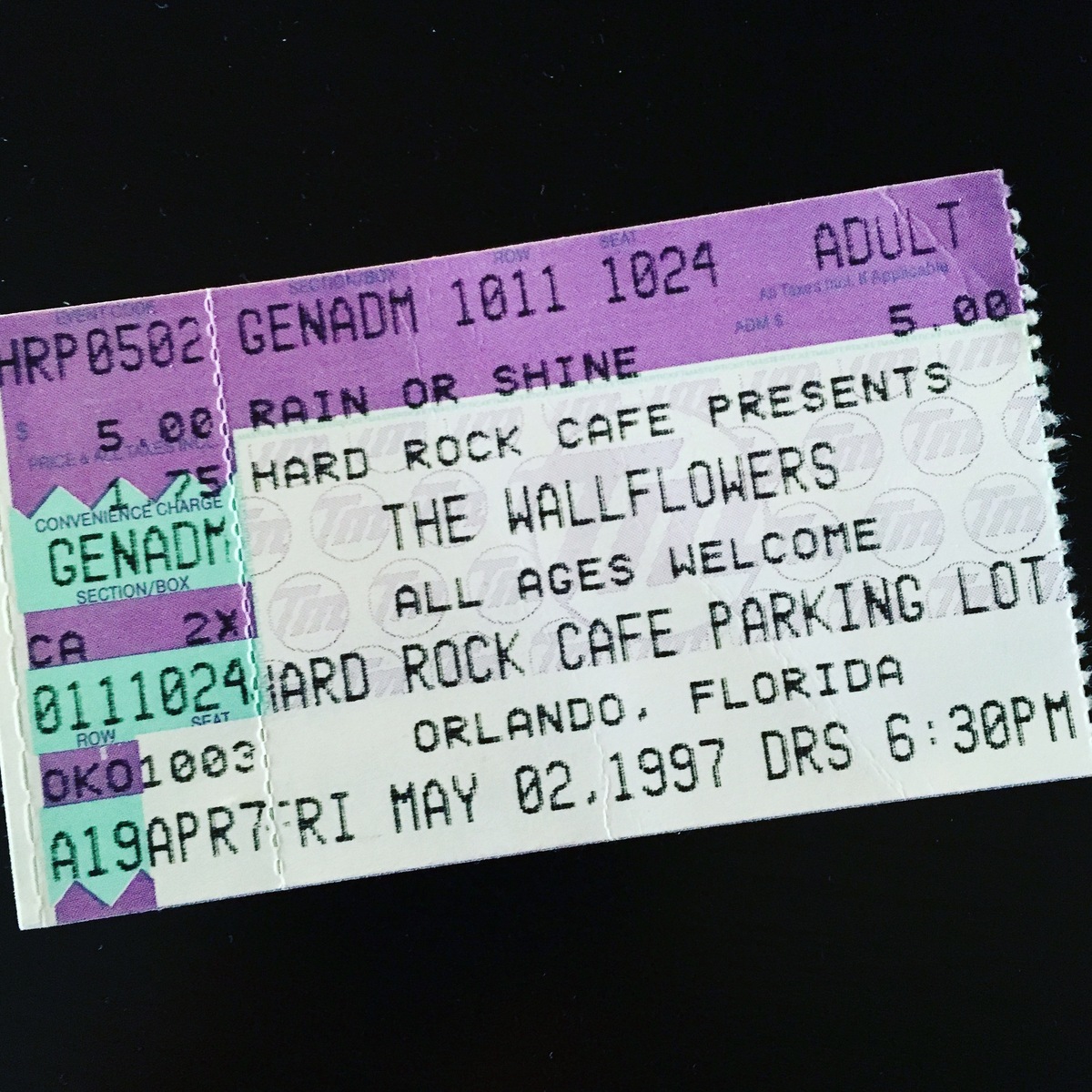 The Wallflowers Concert & Tour History (Updated for 2023 2024