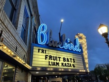 Fruit Bats / Liam Kazar on May 6, 2022 [379-small]