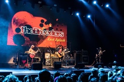 The Breeders / Belly on Oct 19, 2023 [406-small]