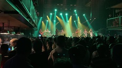 tags: Rootsriders, The Hague, South Holland, Netherlands, Paard - Rootsriders on Jun 9, 2023 [920-small]