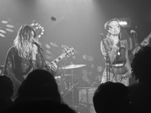 Bella Artois - 17/11/23, wych elm / Cuckoo Spit / Bella Artois on Nov 17, 2023 [312-small]
