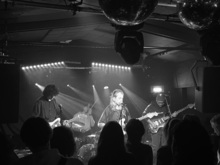 Cuckoo Spit, wych elm / Cuckoo Spit / Bella Artois on Nov 17, 2023 [323-small]