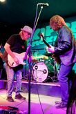 Walter Trout / Trey Wanvig on Nov 19, 2023 [849-small]