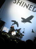 Shinedown / Saving Abel / Buckcherry / Avenged Sevenfold on Nov 22, 2008 [260-small]