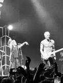 Sting on Nov 25, 2023 [016-small]