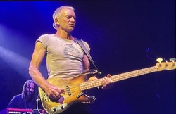 Sting on Nov 25, 2023 [021-small]