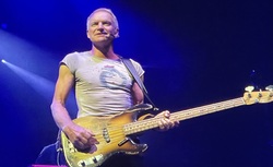 Sting on Nov 25, 2023 [022-small]