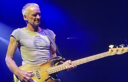 Sting on Nov 25, 2023 [023-small]