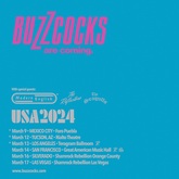 Buzzcocks / The Reflectors / The Seagulls on Mar 14, 2024 [331-small]