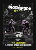 Black Grape / Tom Hingley & The Kar-Pets on Dec 1, 2023 [437-small]