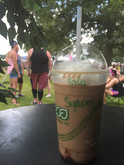 Bonnaroo Music Festival 2015 on Jun 11, 2015 [029-small]