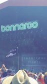 Bonnaroo Music and Arts Festival on Jun 11, 2015 [034-small]