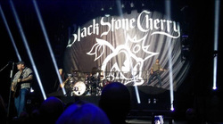 Black Stone Cherry / Shinedown / Halestorm / Highly Suspect on Feb 2, 2016 [032-small]