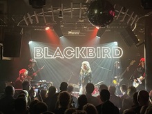 Blackbird on Dec 12, 2023 [508-small]