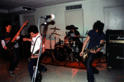 Woolworthy / Swizzle Tree / The Dog And Everything on Mar 9, 2002 [005-small]