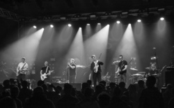 The K’s / The Institutes / The Mucks on Nov 29, 2023 [785-small]
