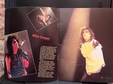 Alice Cooper / Motörhead  on Feb 24, 1988 [402-small]