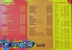 Beautiful Days Festival on Aug 17, 2018 [733-small]