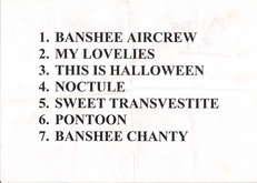 Screaming Banshee Aircrew on Nov 16, 2001 [789-small]