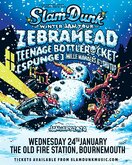 Zebrahead / Teenage Bottlerocket / [Spunge] / Millie Manders and The Shutup on Jan 24, 2024 [844-small]