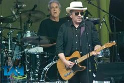 Steely Dan / Elvis Costello & the Imposters on Aug 9, 2015 [737-small]