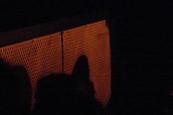 Acid Mothers Temple & The Melting Paraiso U.F.O. / Ruins Alone / Zoffy / Zubi Zuva X on Jul 12, 2008 [032-small]