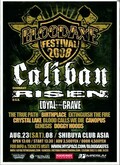 Bloodaxe Festival 2008 on Aug 23, 2008 [014-small]