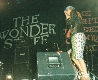 The Wonder Stuff / The Seers / The Libertines on Oct 29, 1988 [552-small]