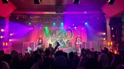 Wizo (DE) / Rantanplan on Feb 8, 2024 [064-small]