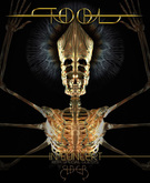 Tool / Matt Bradford / Elder on Feb 15, 2024 [607-small]