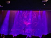 Suffocation / Enterprise Earth / Organectomy / Sanguisugabogg on Feb 17, 2024 [170-small]