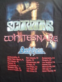 Scorpions / Whitesnake / Dokken on Feb 19, 2003 [672-small]