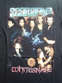 Scorpions / Whitesnake / Dokken on Feb 19, 2003 [674-small]