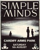 Simple Minds / Texas / The Darling Buds / The Silencers on Aug 5, 1989 [267-small]